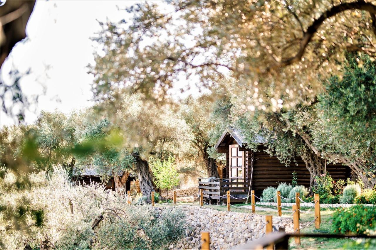 Holiday Park Olive Tree ウルツィニ エクステリア 写真