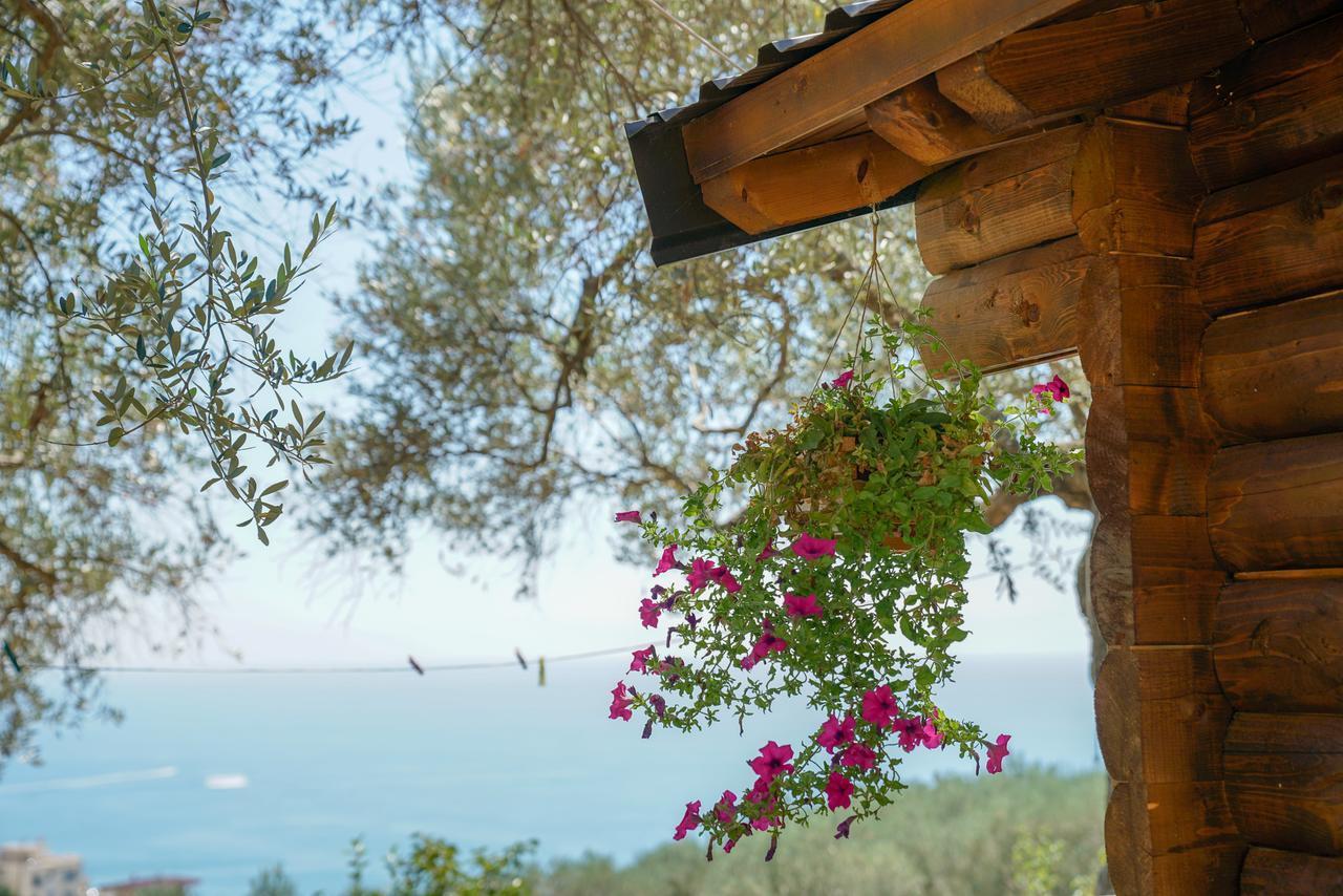 Holiday Park Olive Tree ウルツィニ エクステリア 写真